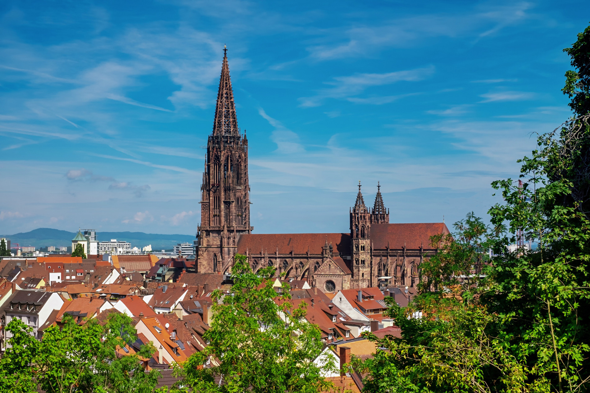 Freiburg Münster