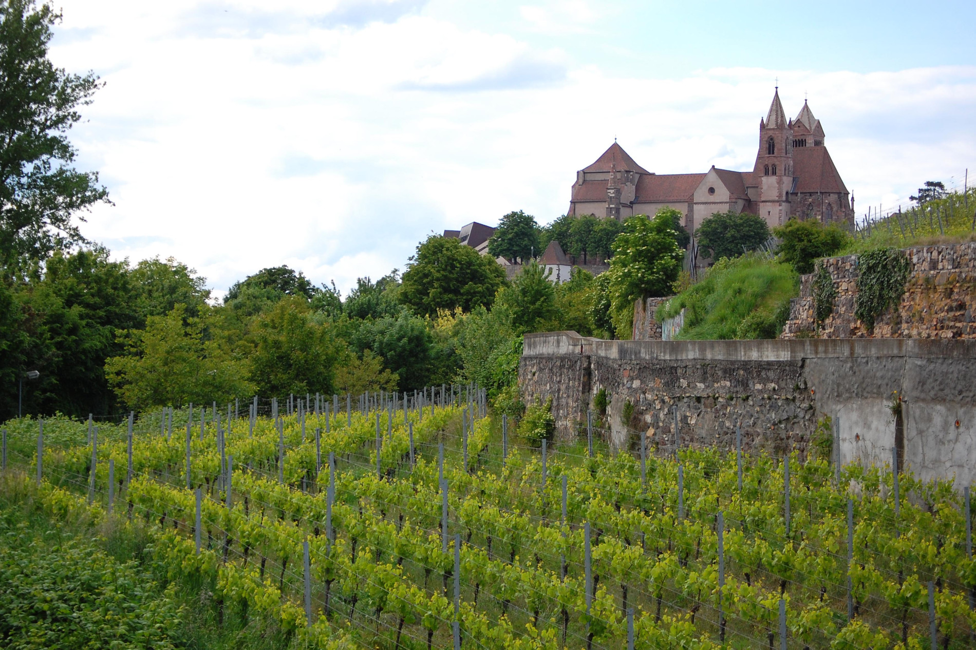 St. Stephansmünster